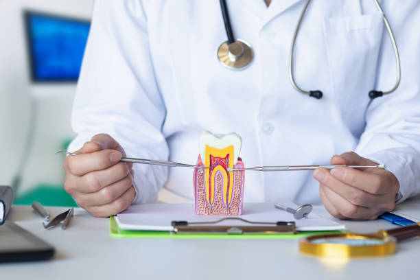Best Pediatric Emergency Dentist in Deer Park, IL